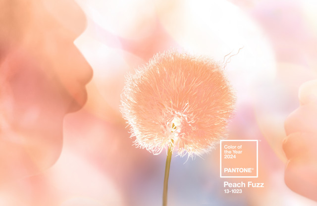 Color of the Year: “Peach Fuzz” Steps into the Spotlight for 2024 ~ My Peachy Plant Suggestions for Home & Garden